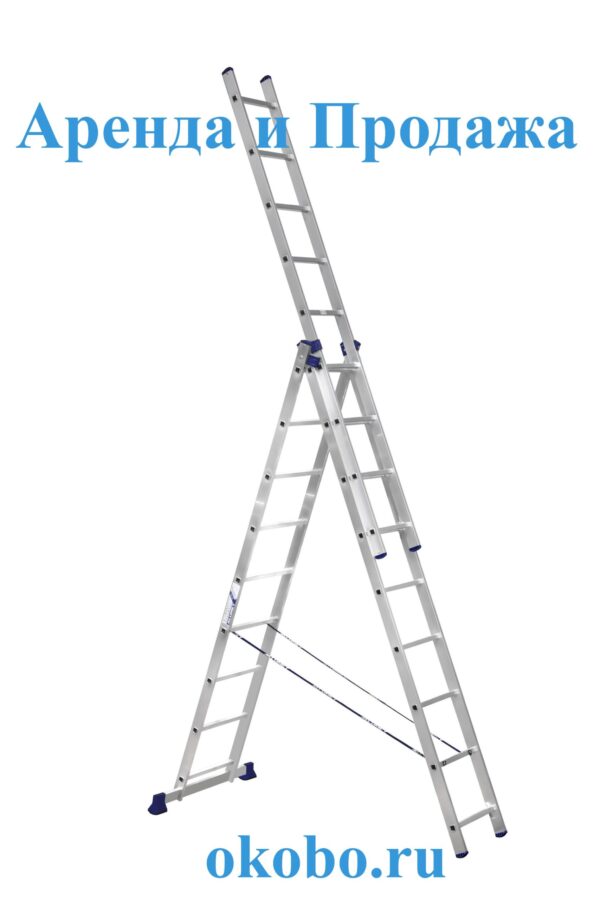 lestnicah353093-hsekcionnaya.jpeg