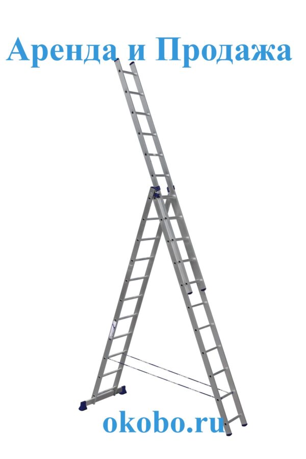 lestnicah353113-hsekcionnaya.jpeg